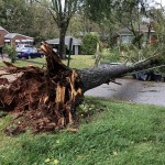 Tree Down On Mitchell Avenue In Statesville – Power Lines Down As Well