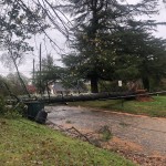 Tree Down On Mitchell Ave Off North Oakland Ave In Statesvlle