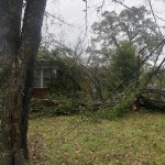 Tree On House On Mitchell Avenue In Statesville