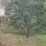 Wind Damage In Mooresville – Photo Credit Madison Thomas