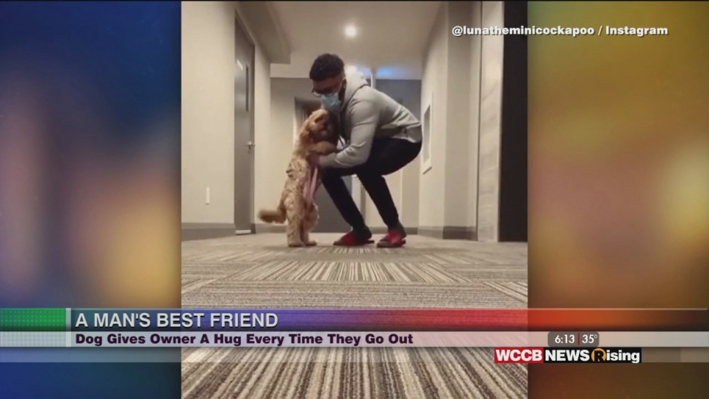 Viral Videos: Sc Officer Makes Tiktok Video & Dog Hugs Owner