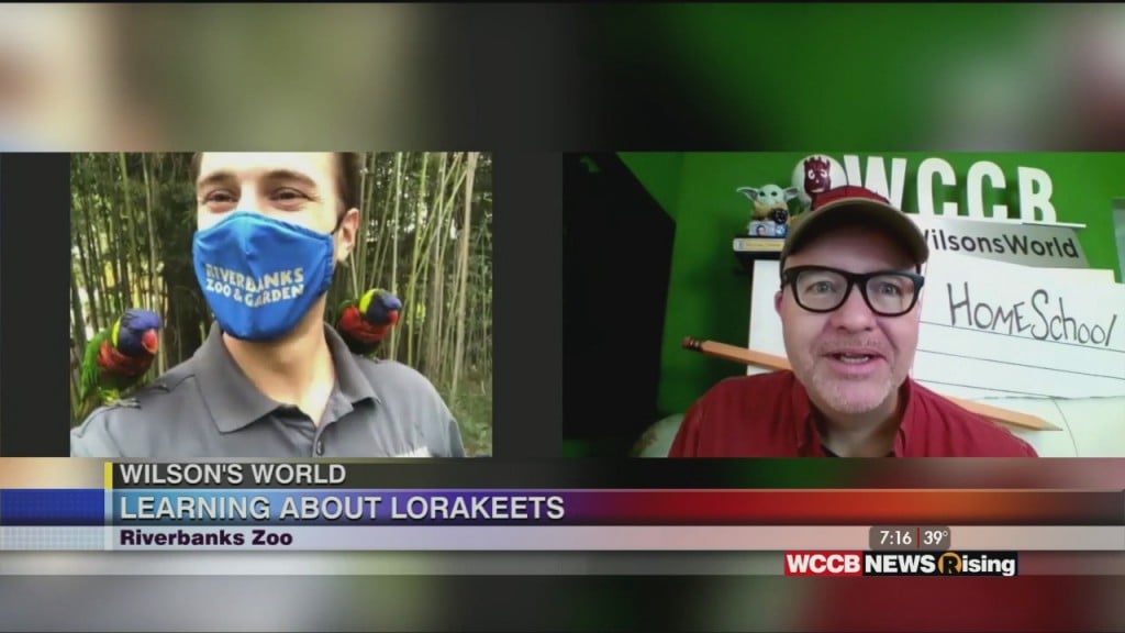 Wilson's World Homeschool: Visiting With The Lorakeets At The Riverbanks Zoo & Garden