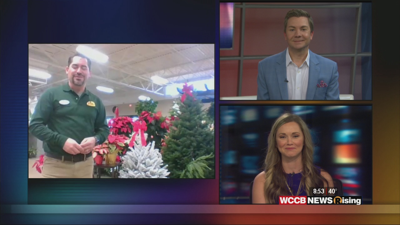 Pikes Nurseries Christmas Tree Deliveries WCCB Charlotte's CW