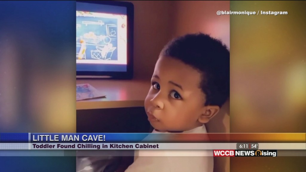 Viral Videos 11/27