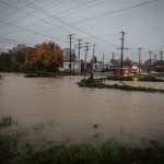 Flooding, Cfd Photographer David Flower (1 Of 9)