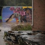 Flooding, Cfd Photographer David Flower (9 Of 9)