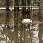 Flooding On Riverside Dr 2