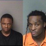 Hamiltonslaughter