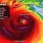 Wccb Tropical