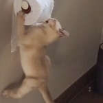 Episode 110