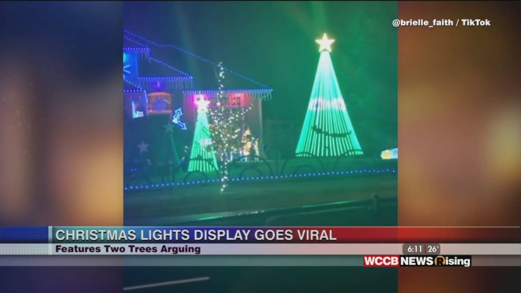 Viral Videos: Trees Arguing & Pump Up The Jam