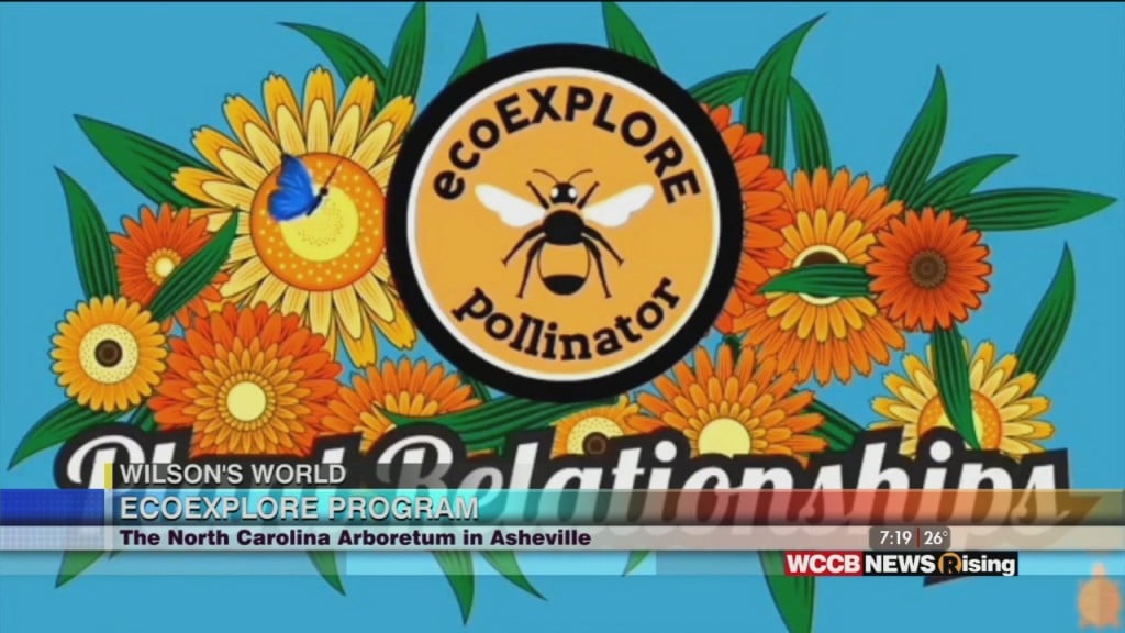 Wilson's World Homeschool: Learning About Plant Pollination While Catching Up On The Eco Explore Program At The Nc Arboretum