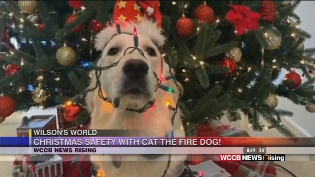 Wilson's World: Christmas Safety And More With Cat The Fire Dog!