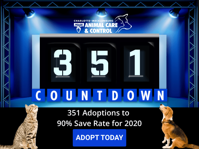 Featurecmpd Animal Care & Control Fi No Kill Community Countdown Ssblvd Update 2