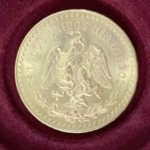 Sa Shelby Gold Coin Back