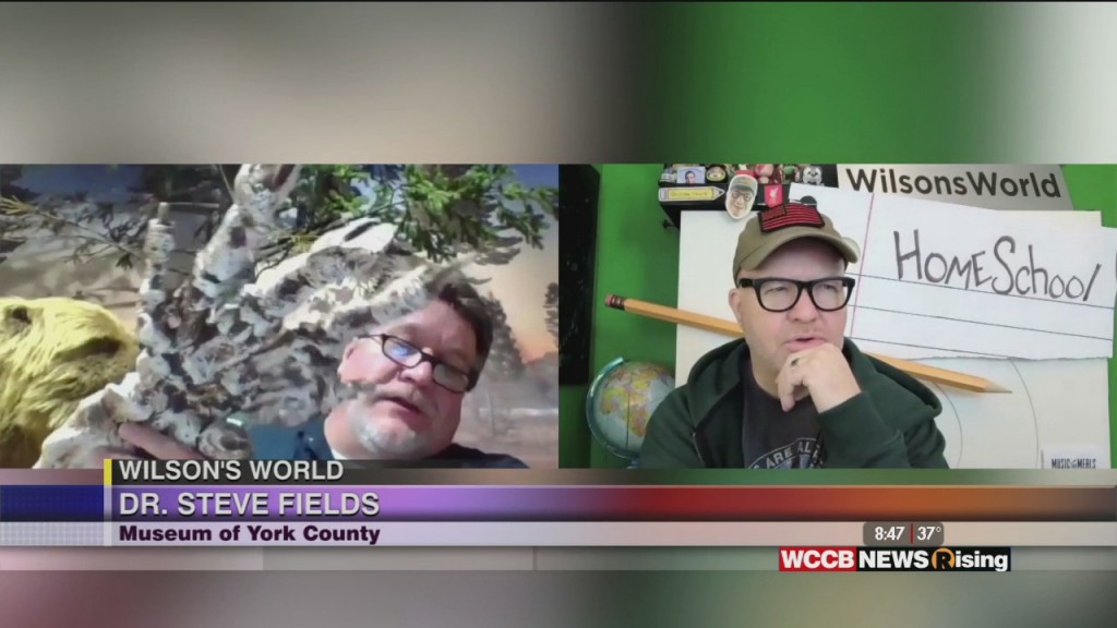 Wilson's World Homeschool: Looking Back At The 2020 Visits With The Museum Of York County
