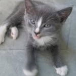 Mikey A1174500 Matthews