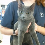 Snow A1175245 Dilworth