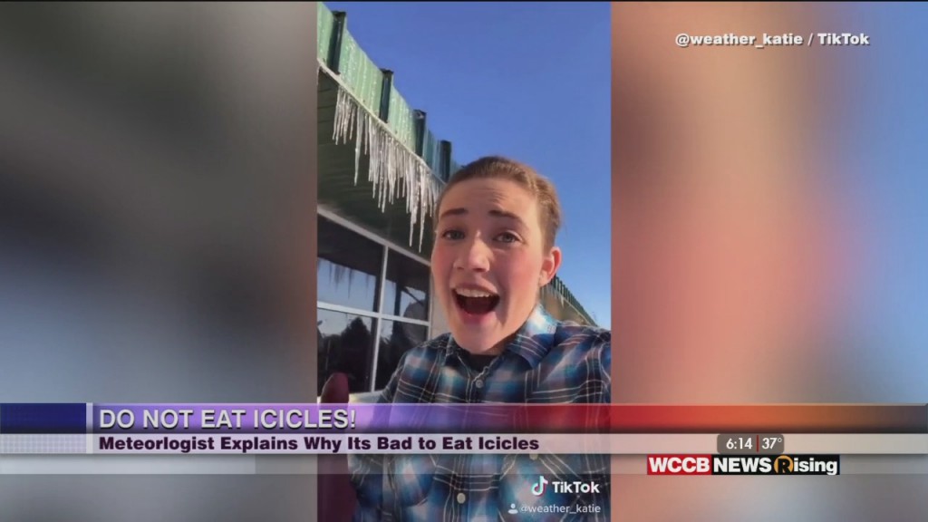 Viral Videos: Dog Loves Watching Horse Racing & Icicle Psa