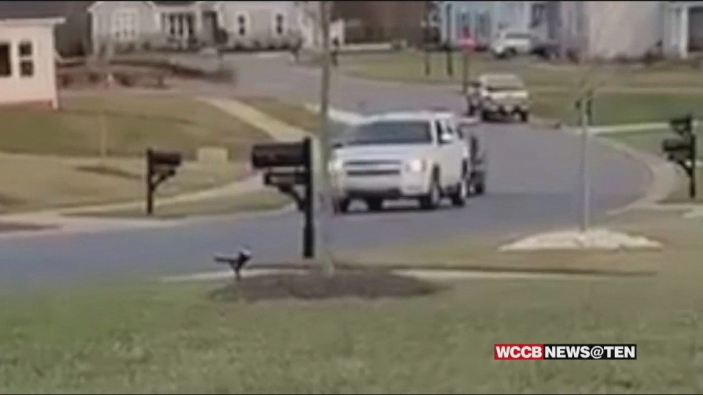 Teen Hits Family Inside A Golf Cart With An Suv