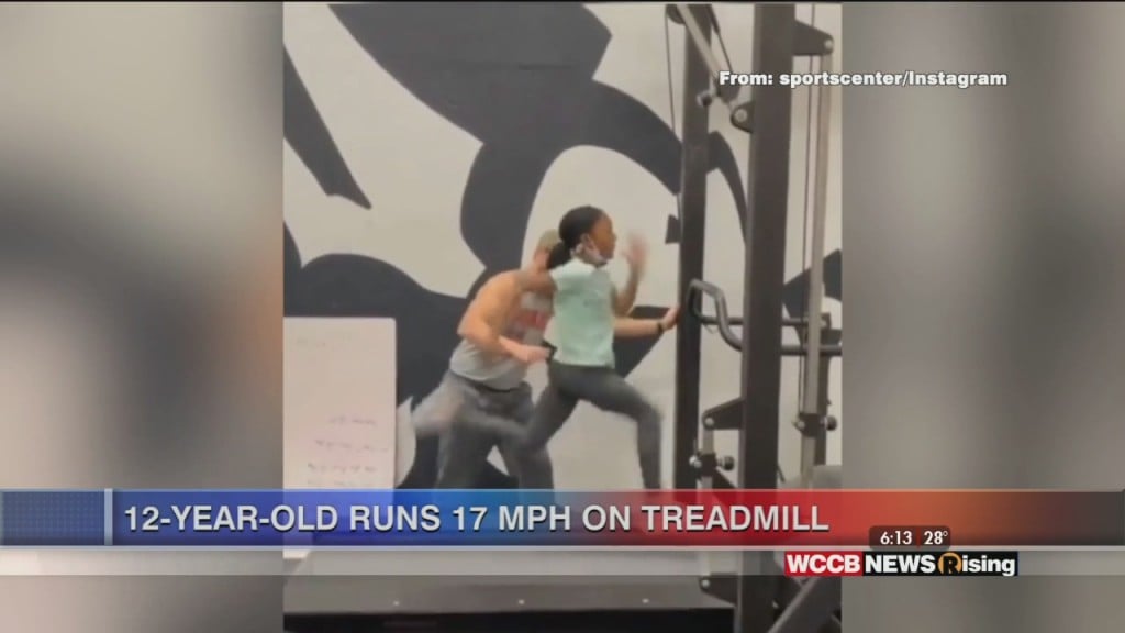 Viral Videos: Baby Monkey Makes Debut And 12 Year Old Runs 17 Mph On Treadmill