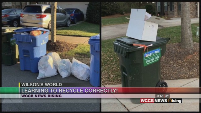 Wilson's World: Proper Recyling And Waste Management With Mecklenburg