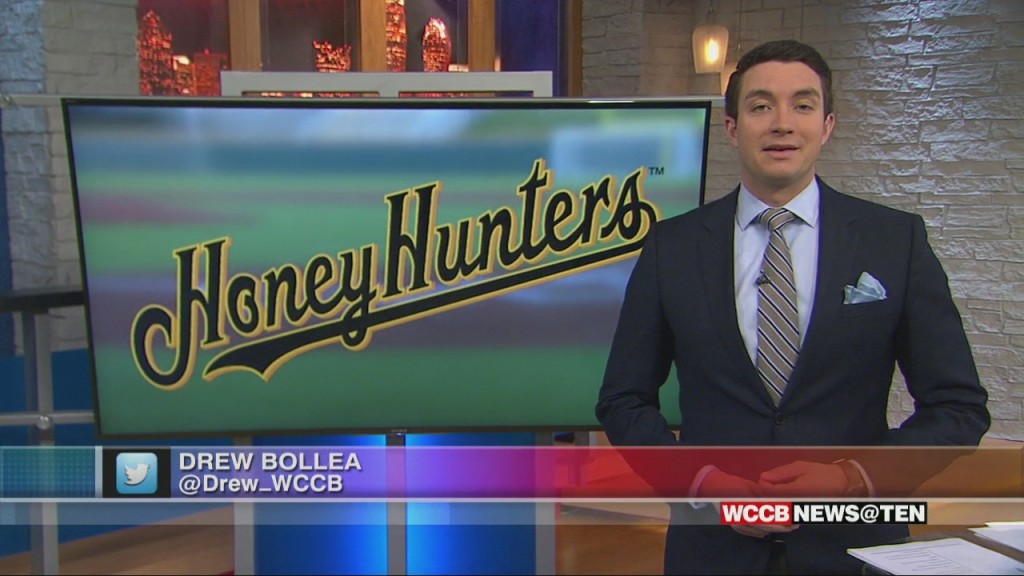 Gastonia Professional Baseball Team Unveils Name And Logo