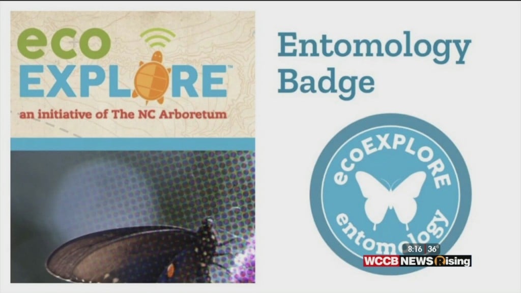 Wilson's World Homeschool: Learning More About The Points And Prizes For The Eco Explorers With The Nc Arboretum
