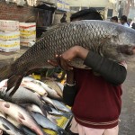 A Boy Carries A Fish At A Fish Market In Prayagraj, India, Friday