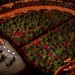 Musicians Rehears At The Gran Teatre Del Liceu In Barcelona, Spain 2,292 Seats Of The Auditorium Were Occupied By Plants And The Performance Was Broadcast Live Online.