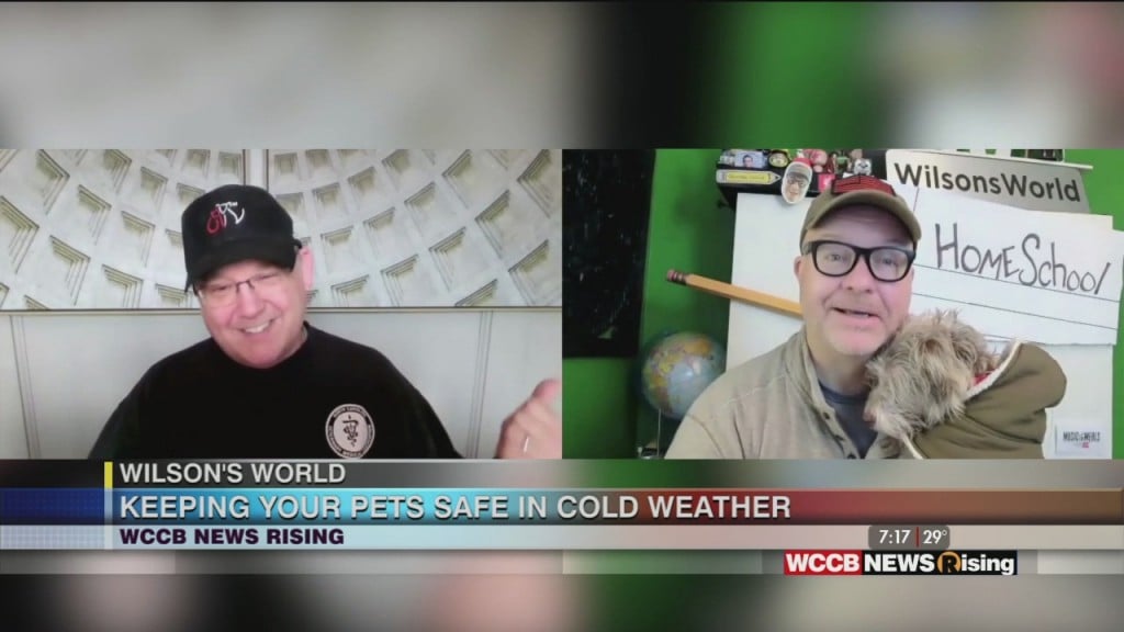 Wilson's World: Making Sure We Keep Out Pets Warm And Comfortable During The Cold Winter Weather
