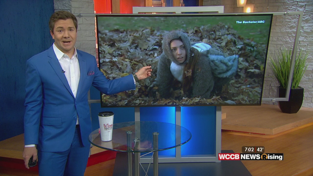 The Snark: Things Get Squirrely for The Bachelor, QAnon is Still Trying, a  Derek Chatbot, and a Spouses Day Fail - WCCB Charlotte's CW