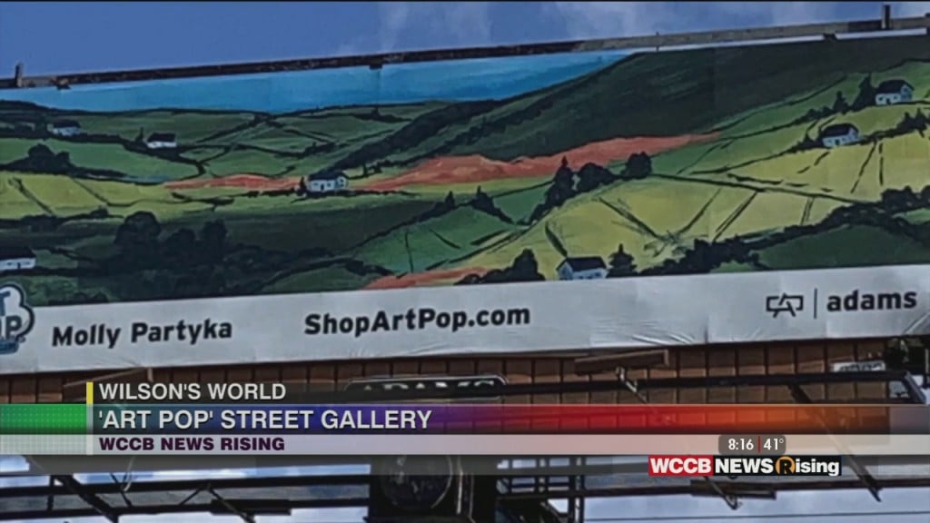 Wilson's World: Discussing The New 2021 #artpopclt Billboards With Artist Molly Partyka