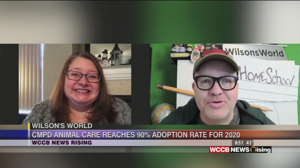 Wilson's World: Cmpd Animal Care & Control Hits Their 90% Adoption Rate Goal For 2020