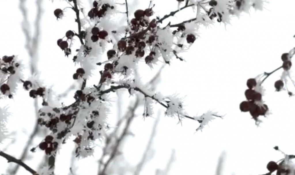 Freezing Fog - CNN picture