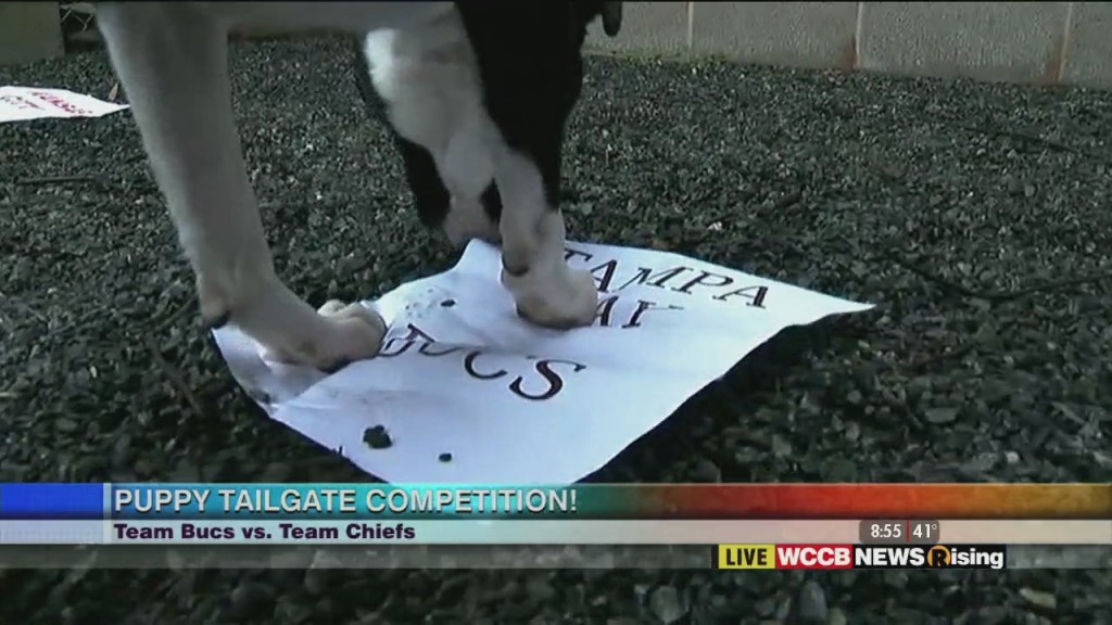Rising's Super Bowl Tailgate Competition