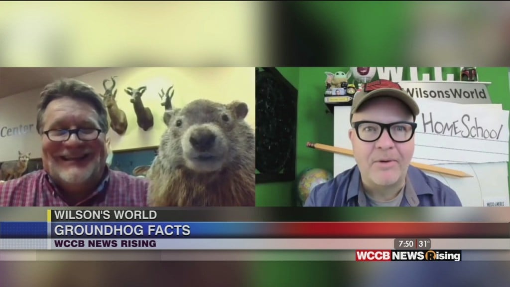 Wilson's World Homeschool: It's Goundhog Day With Dr. Steve At The Museum Of York County