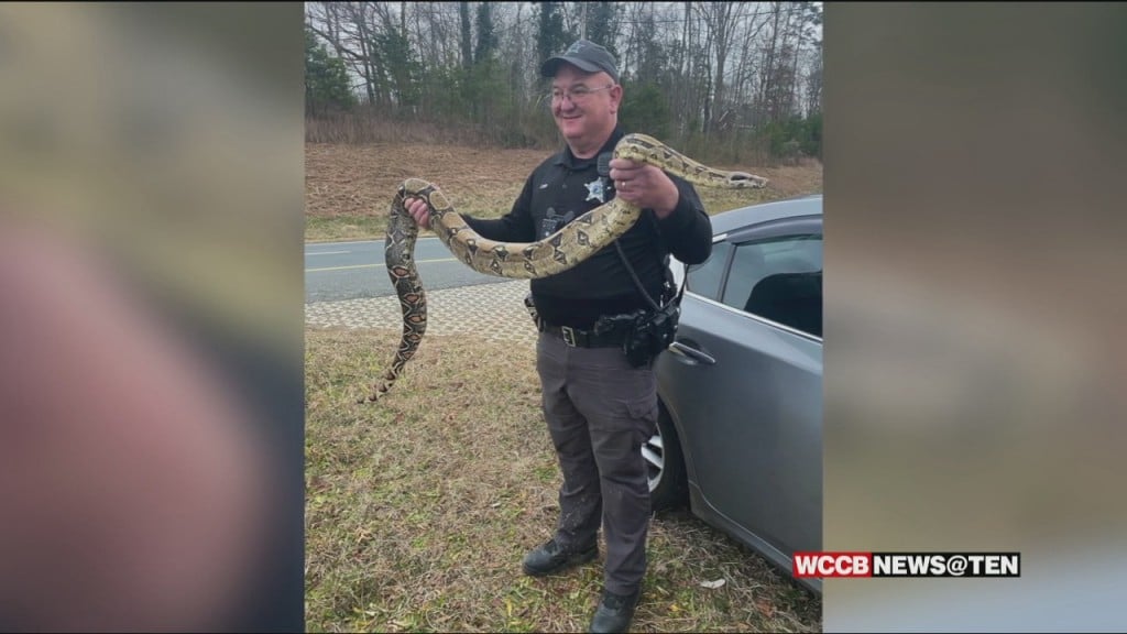 An Unusual Find For The Stanly County Sheriff's Office