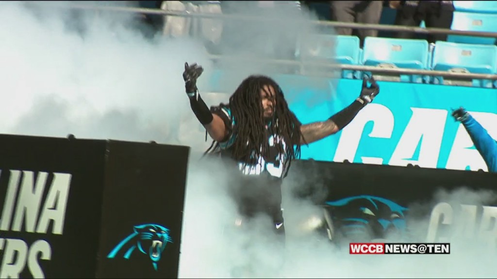 Panthers Release Veterans