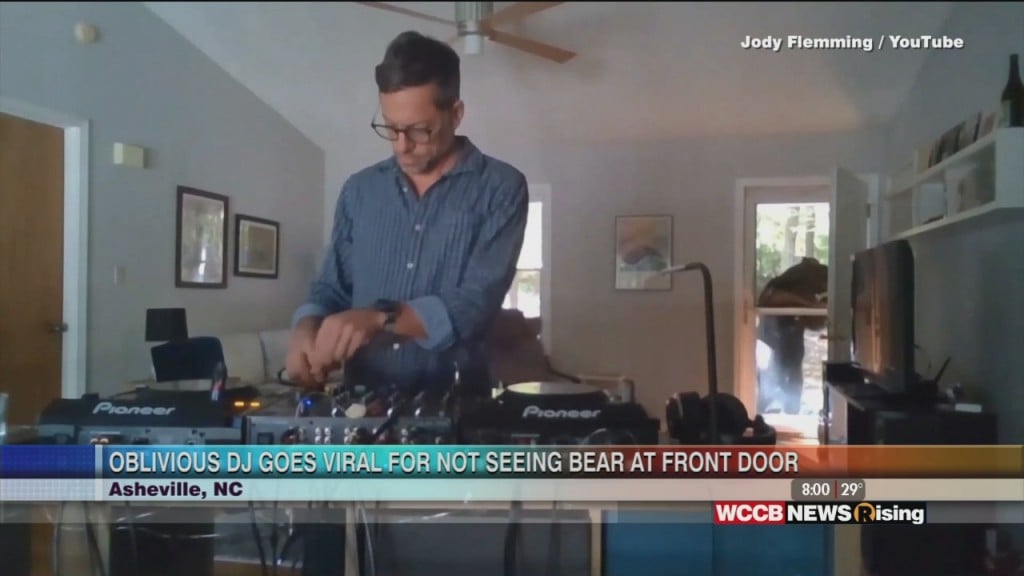 Asheville Dj Is Unaware Of Bear At His Door