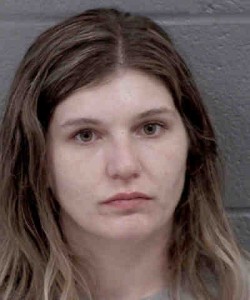 Brenda Caneclides Possess Drug Paraphernalia Possess Methamphetamine Simple Possess Sch Iv Cs Misdemeanor