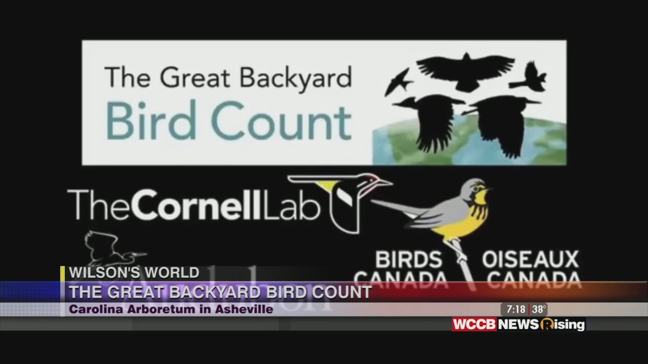 Wilson's World HomeSchool: The Great Backyard Bird Count with North Carolina Arboretum - Vimarsana News