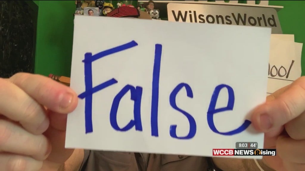 True Or False? National Pizza Day Edition