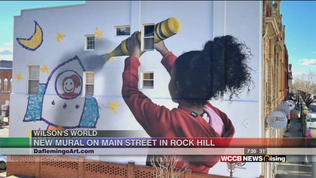 Wilson's World Homeschool: Meeting Rock Hill Artist Darion Fleming
