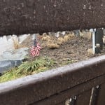 Img 7419