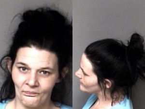 Serena Phipps Inspection Violation Registration Plate Not Displayed No Liability Insurance Fictious Tag Driving While License Revoked Failure To Appear