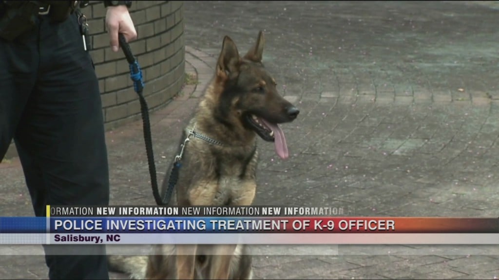 Salisbury Pd Dog Investigation