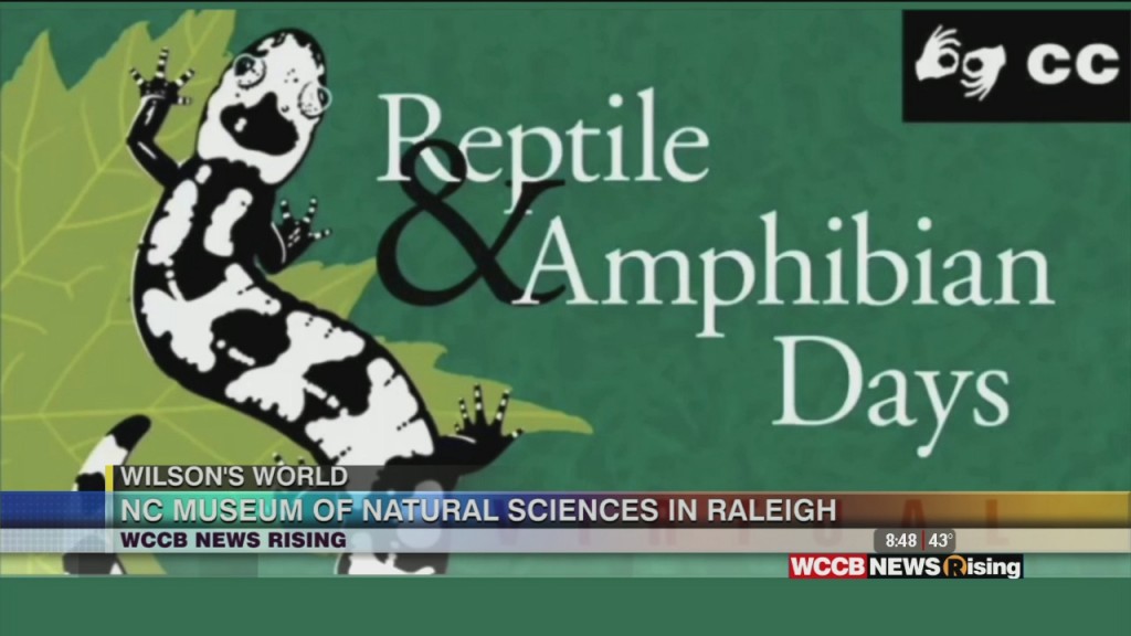 Wilson's World Homeschool: 26th Annual Reptile And Amphibian Days At The Nc Musem Of Natural Sciences