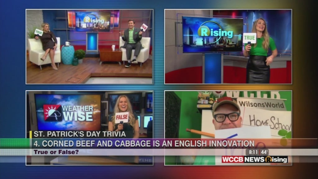 St. Patrick's Day Trivia: True Or False