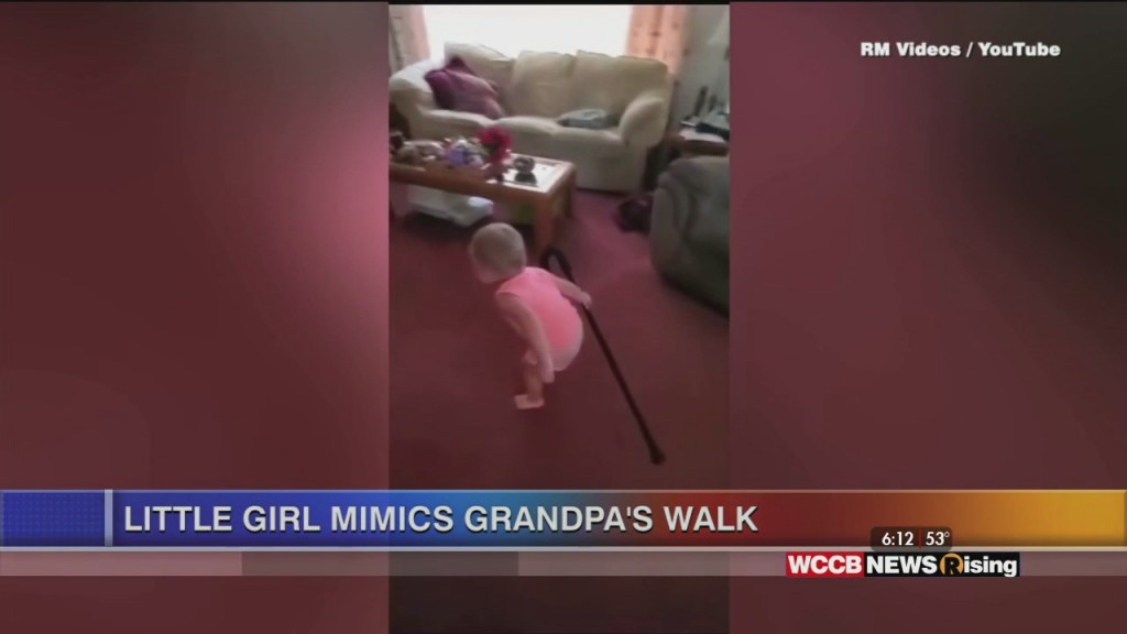 Viral Videos: Clever Dog And Baby Mimics Grandpa